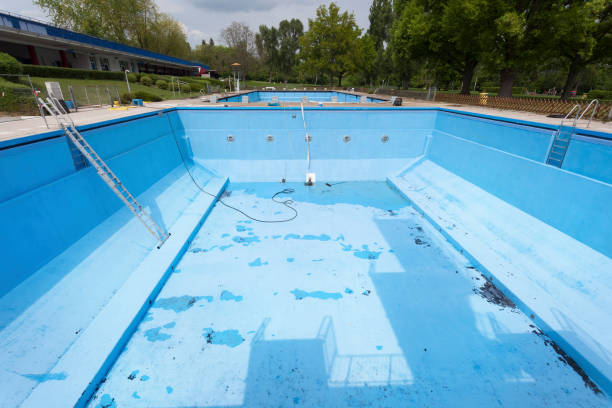 Best Mold removal after water damage  in North College Hill, OH