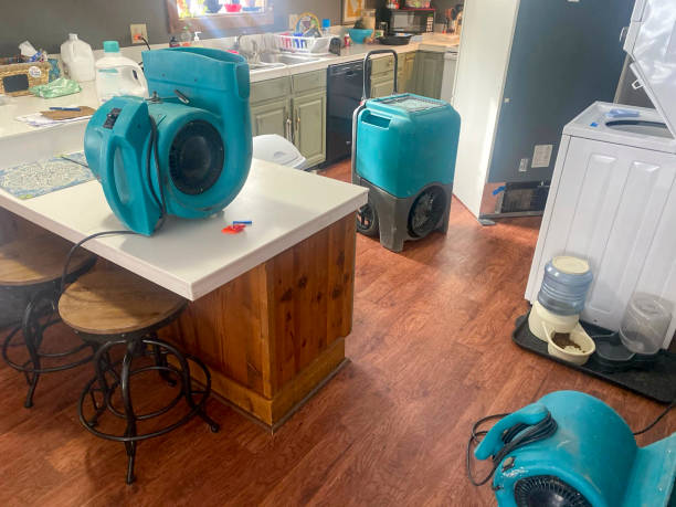 Best 24-hour water damage restoration  in North College Hill, OH