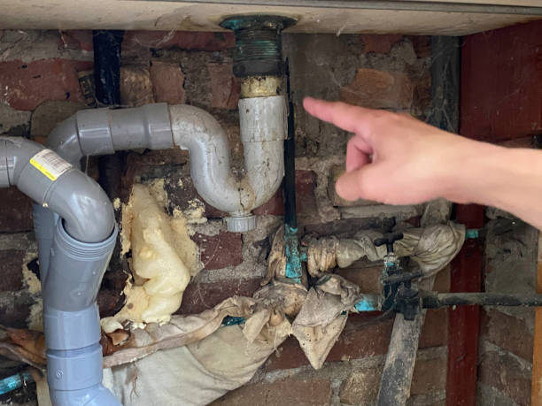 Best Local water damage restoration  in North College Hill, OH